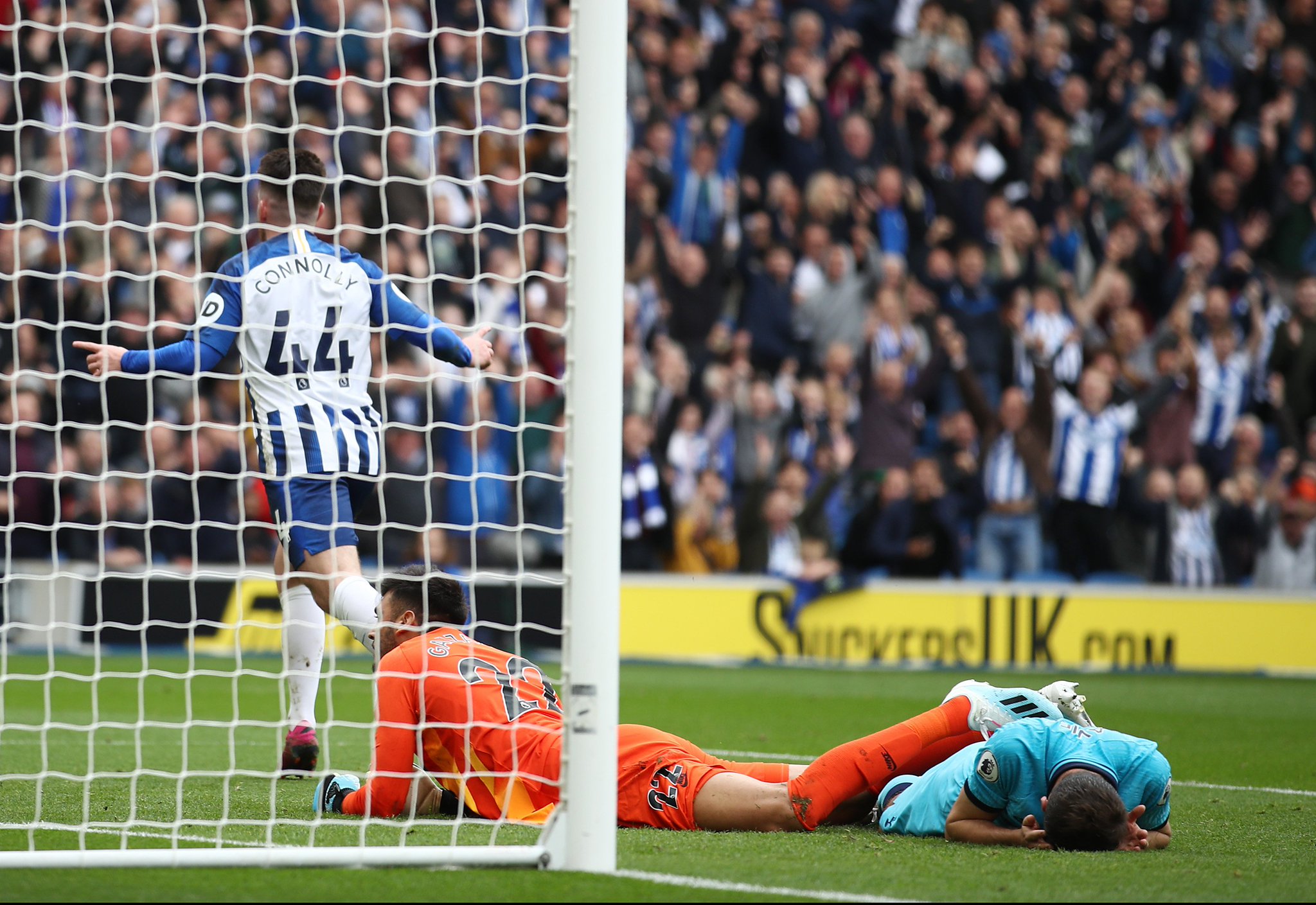 之星弗洛里 之星弗洛里